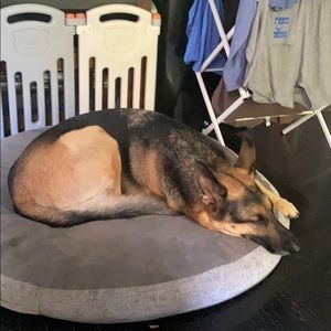 Meet your Posher, Adam